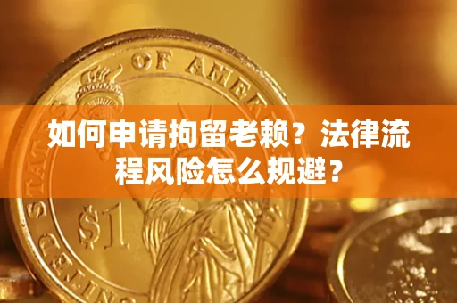武汉如何申请拘留老赖？法律流程风险怎么规避？