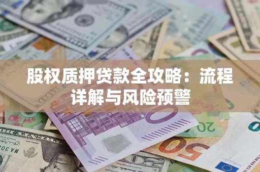 武汉股权质押贷款全攻略：流程详解与风险预警