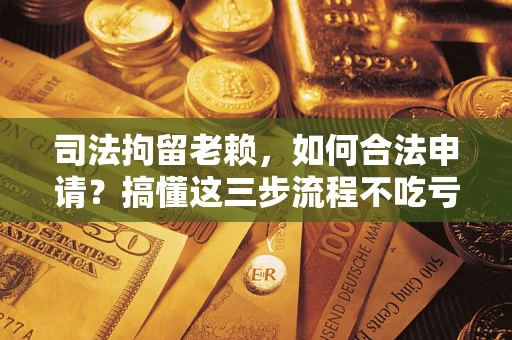 武汉司法拘留老赖，如何合法申请？搞懂这三步流程不吃亏！