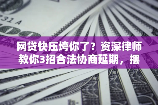 武汉网贷快压垮你了？资深律师教你3招合法协商延期，摆脱暴力催收！