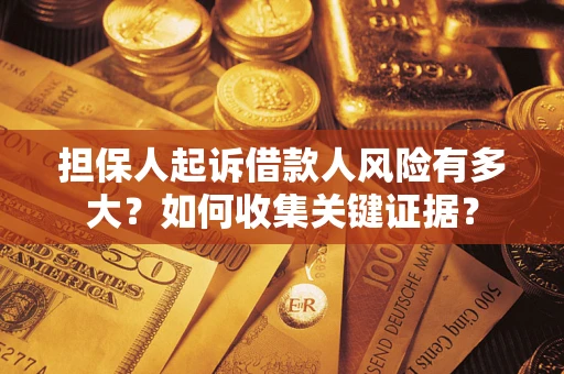 武汉担保人起诉借款人风险有多大？如何收集关键证据？