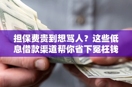 武汉担保费贵到想骂人？这些低息借款渠道帮你省下冤枉钱