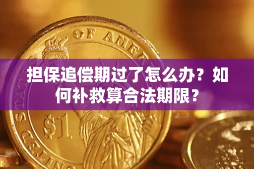 武汉担保追偿期过了怎么办？如何补救算合法期限？
