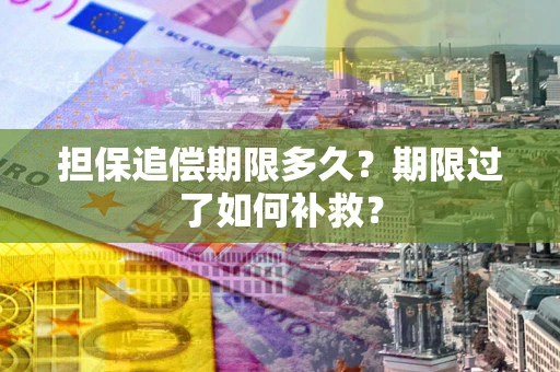 武汉担保追偿期限多久？期限过了如何补救？