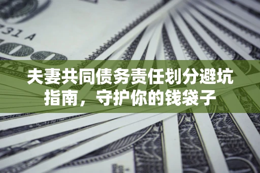 武汉夫妻共同债务责任划分避坑指南，守护你的钱袋子
