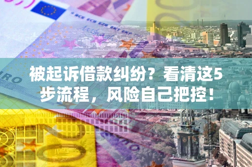 武汉被起诉借款纠纷？看清这5步流程，风险自己把控！