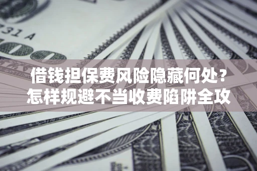 武汉借钱担保费风险隐藏何处？怎样规避不当收费陷阱全攻略！