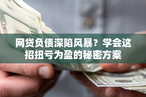 武汉网贷负债深陷风暴？学会这招扭亏为盈的秘密方案